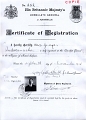 19141118 GEORGES RODOCANACHI Consular Registration